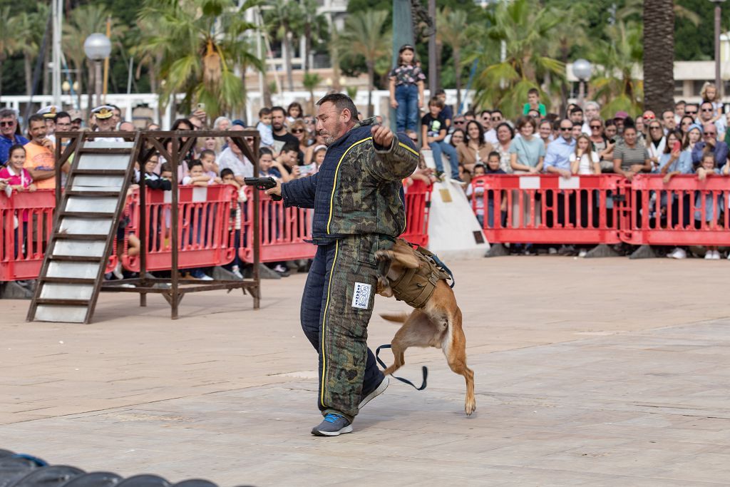 Exhibición de armas de la Armada en Cartagena