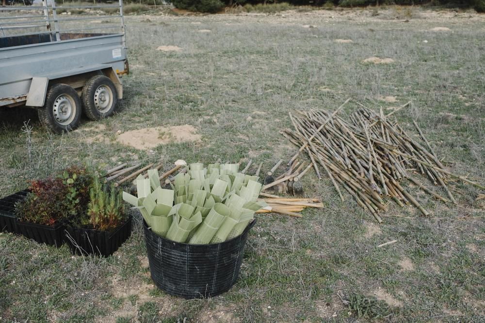 Plantación de especies autóctonas de alumnos del IES Mare Nostrum el día del arbol en el parque natural de las lagunas