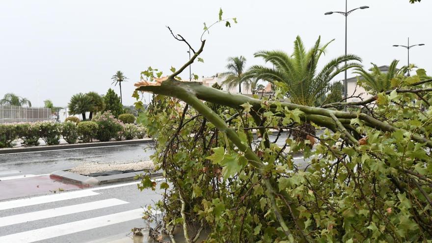 La borrasca provocará fuertes rachas de viento