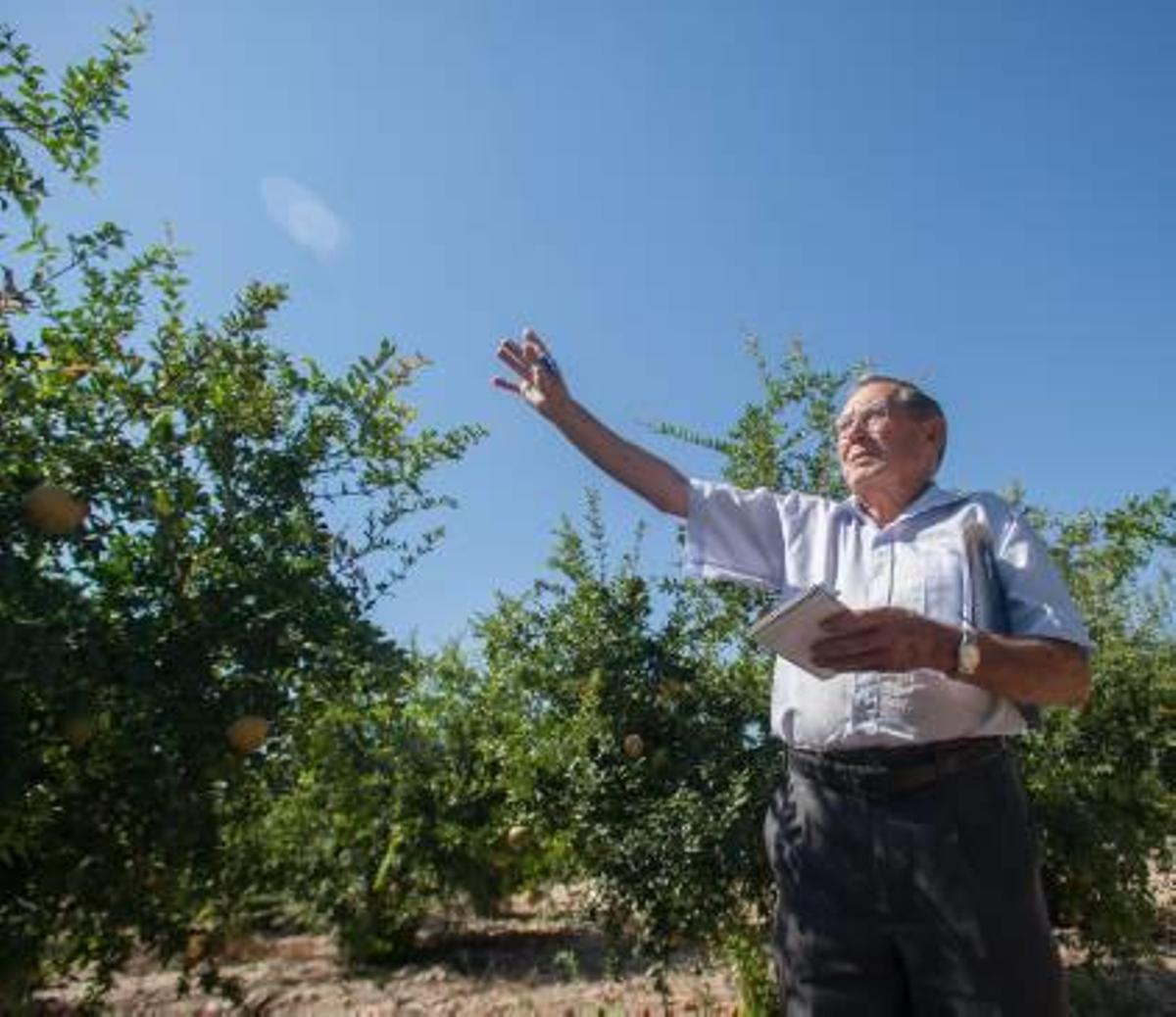 La predicción del tiempo en Elche en una libreta