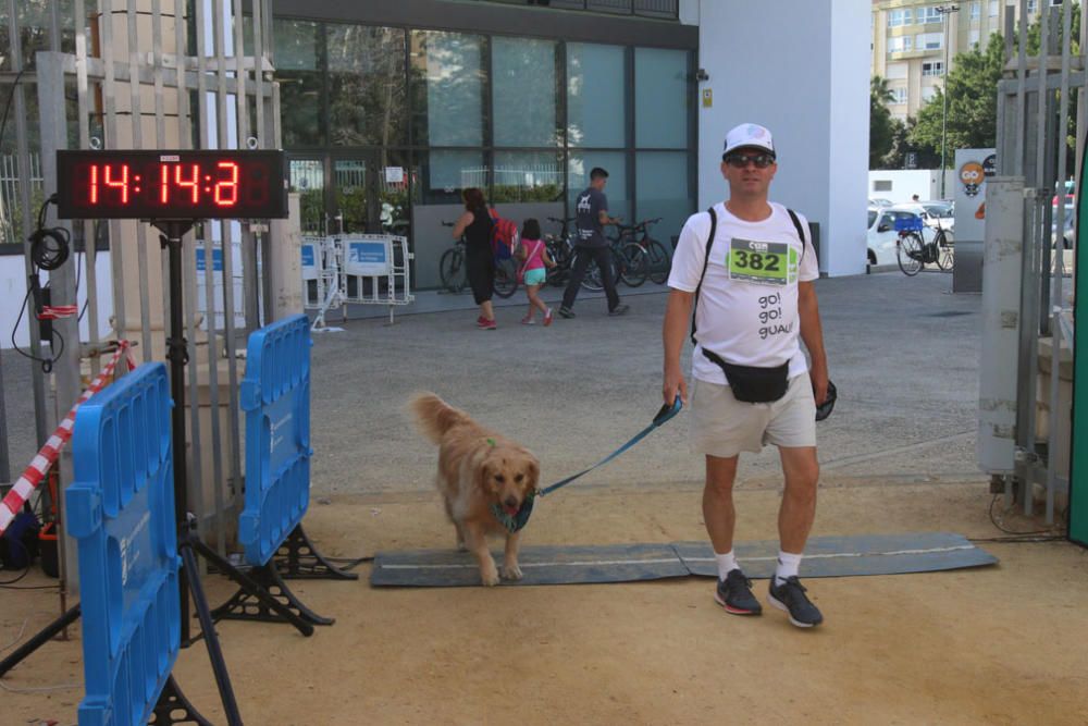 El Parque Huelin ha acogido la primera edición de un evento destinado a las mascotas y a sus dueños, con carreras en diversas categorías, actividades gratuitas y numerosos stands