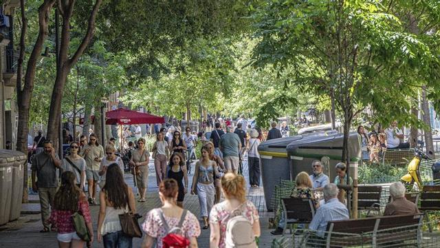 Un tram del  carrer Consell  de Cent aquesta  setmana. Es tracta d’un dels principals eixos verds impulsats per l’Ajuntament de Barcelona. | MANU MITRU