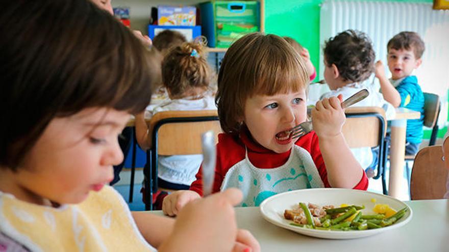 Servicios de catering para los comedores escolares de Alicante