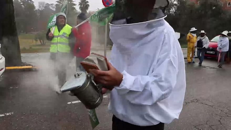 Manifestación en Badajoz para reclamar precios justos para el campo