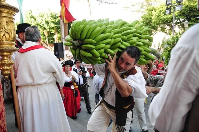 Romería de Santiago de Gáldar 2016.