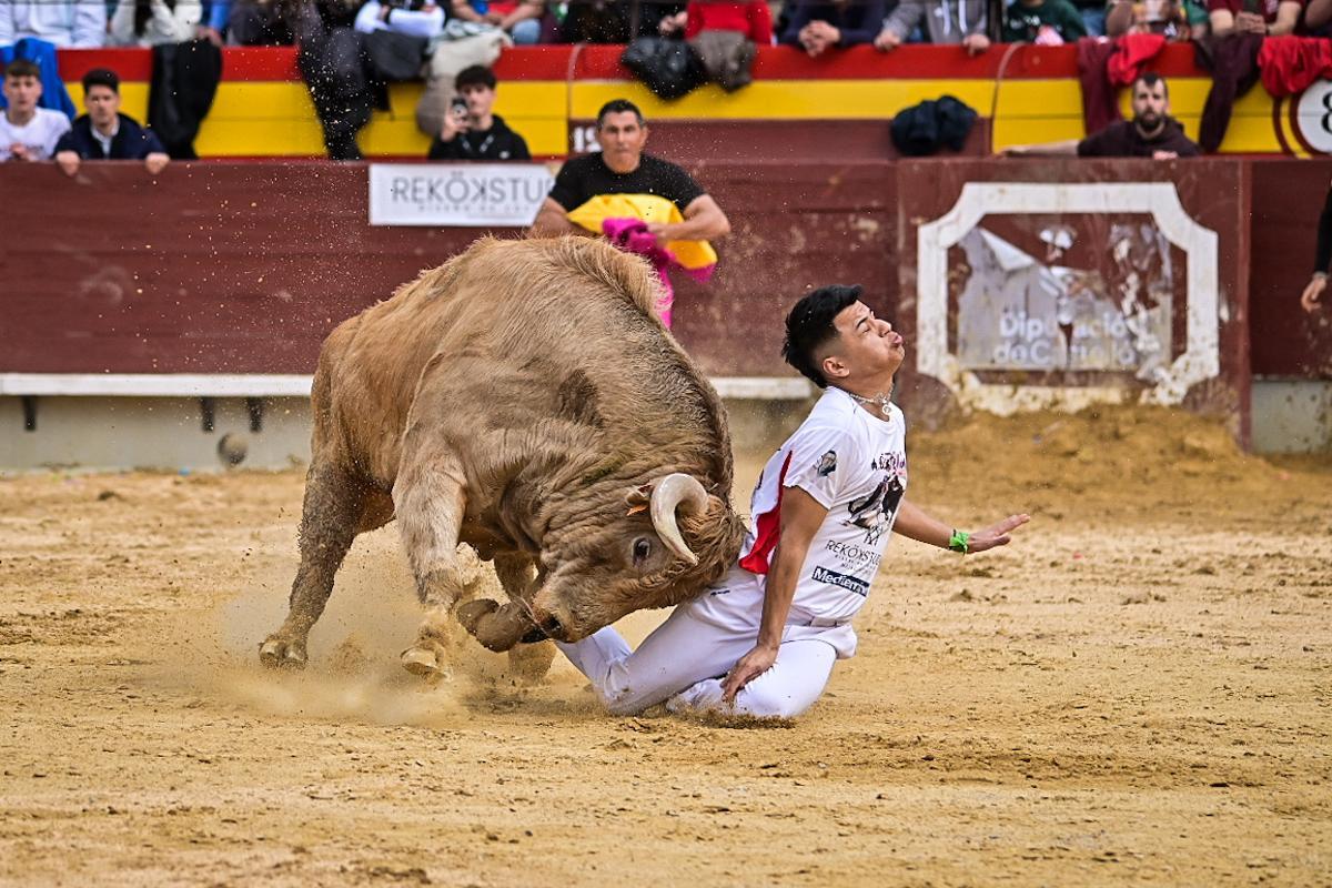 Galería de imágenes: Los maestros de la calle toman la plaza de Castelló