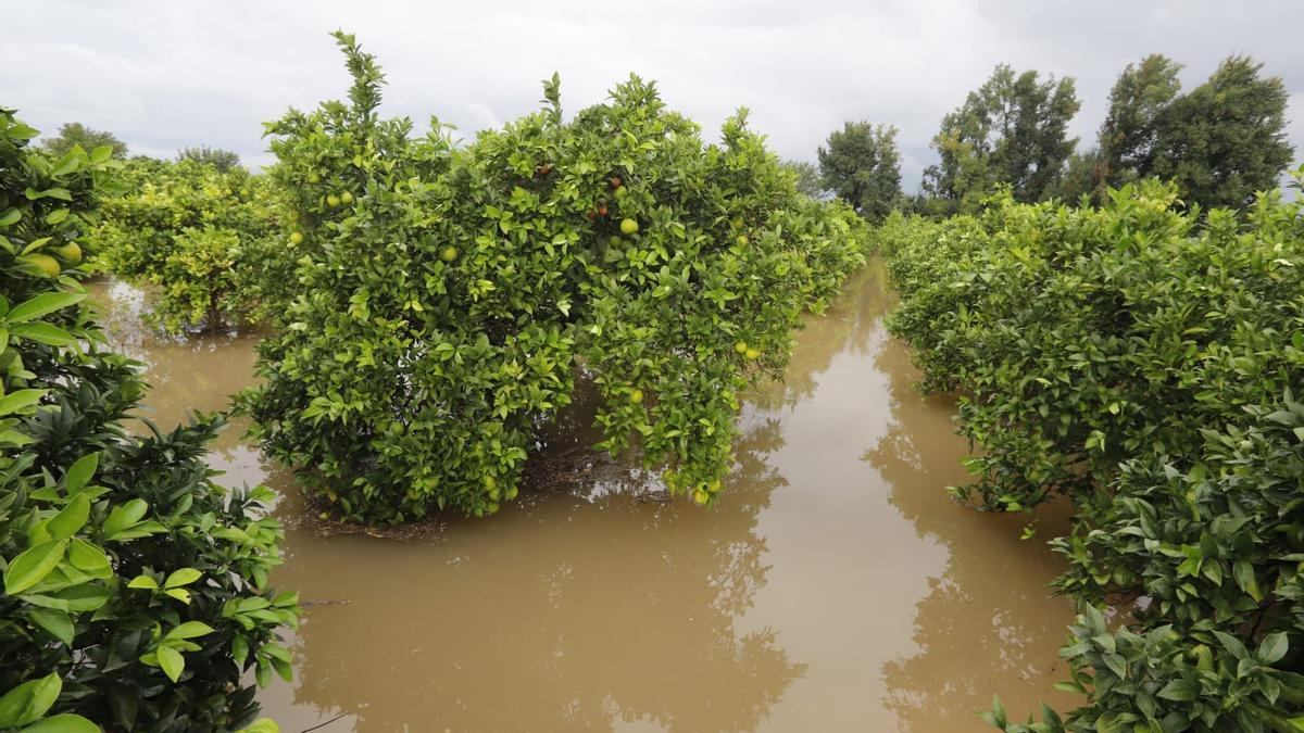 Las lluvias han dejado hoy importantes cantidades de agua en muchos municipios de Valencia.