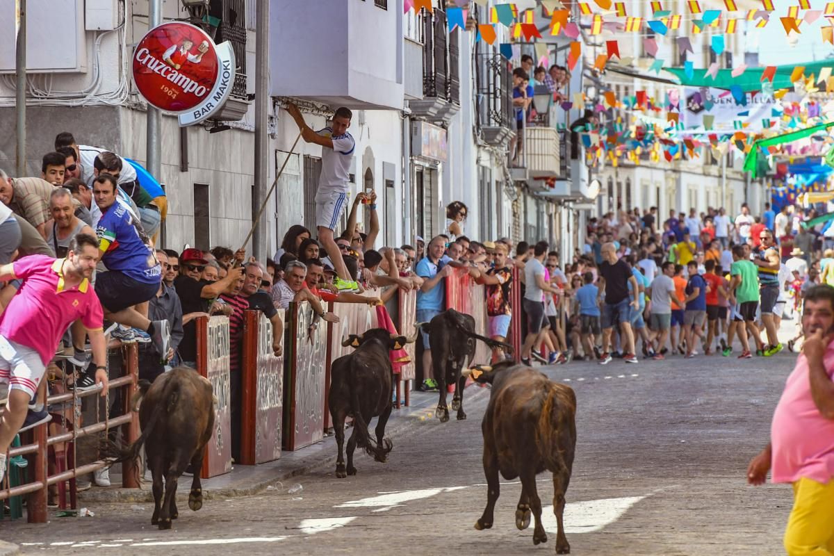 Encierro de las vaquillas de El Viso