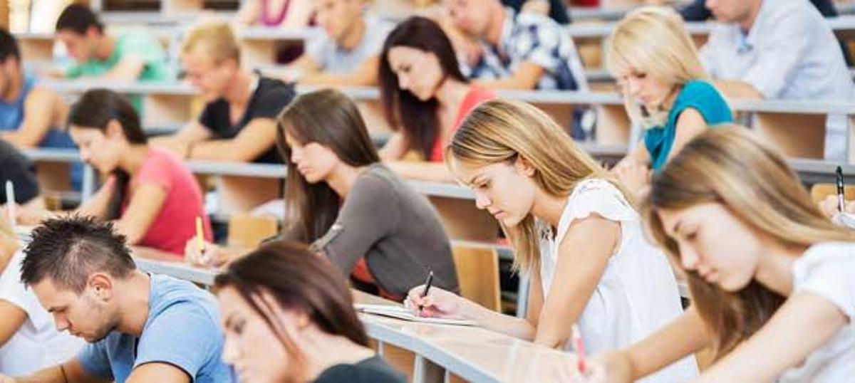 Nueva propuesta para la Universidad