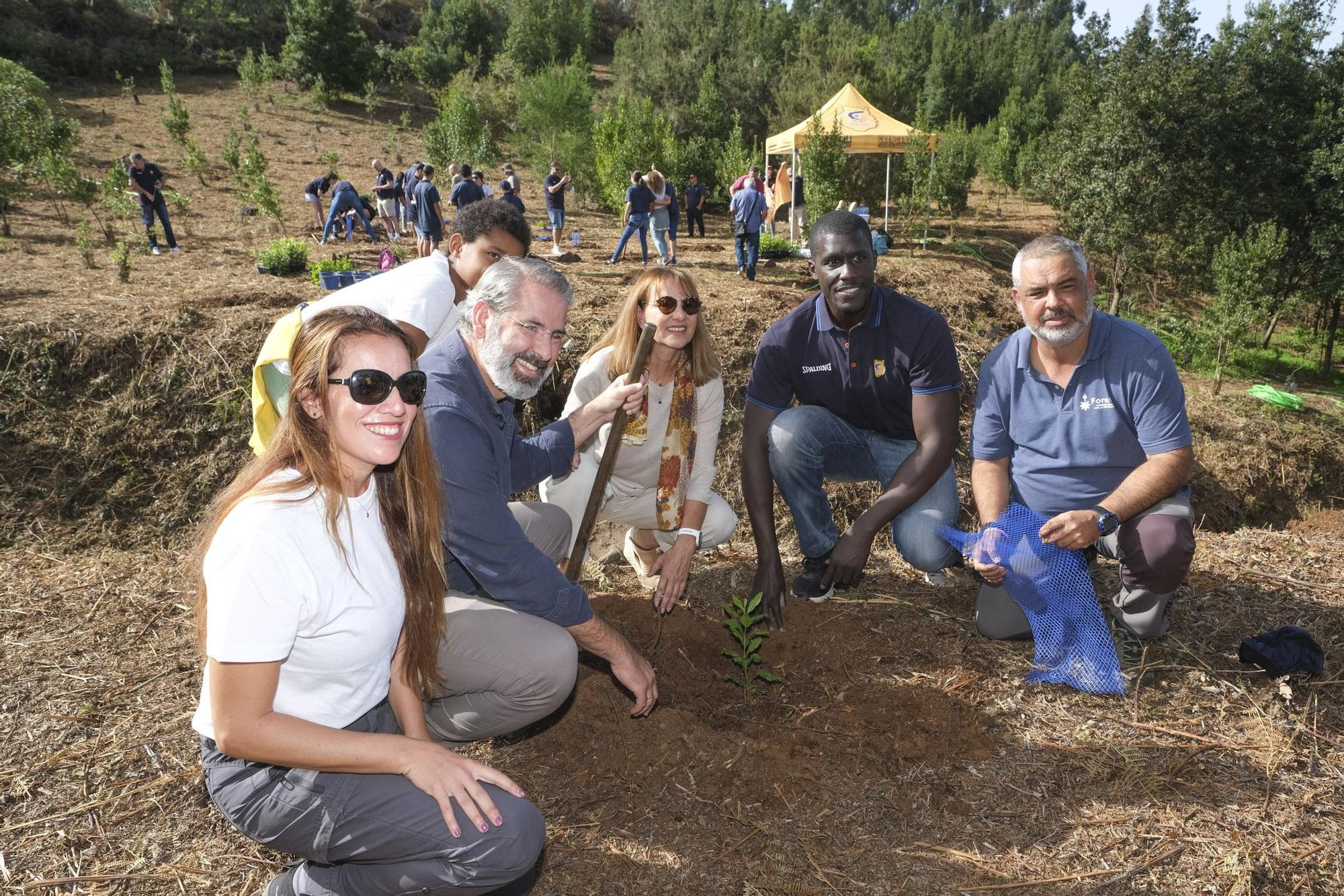 Reforestación 'Compromiso Granca'