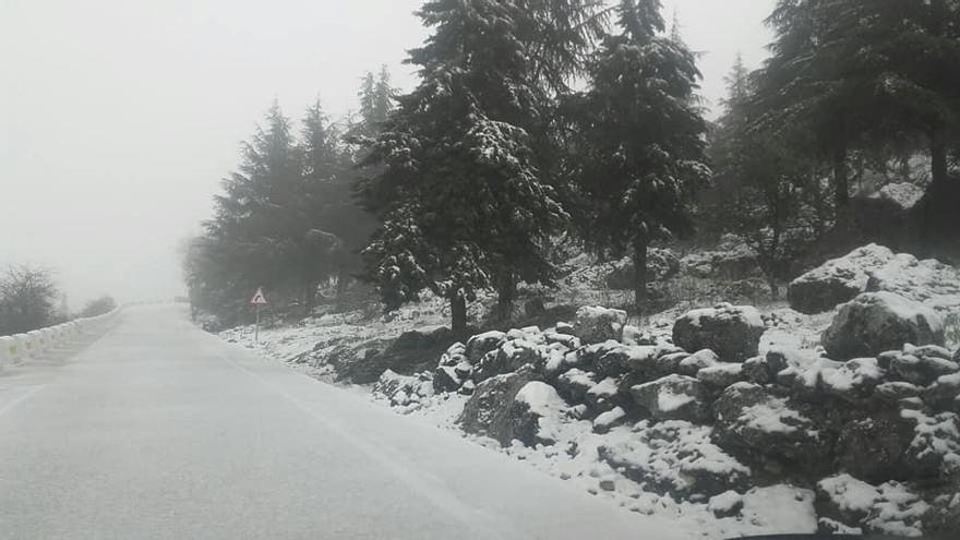 La nieve regresa a la sierra de Cabra por el Domingo de Ramos