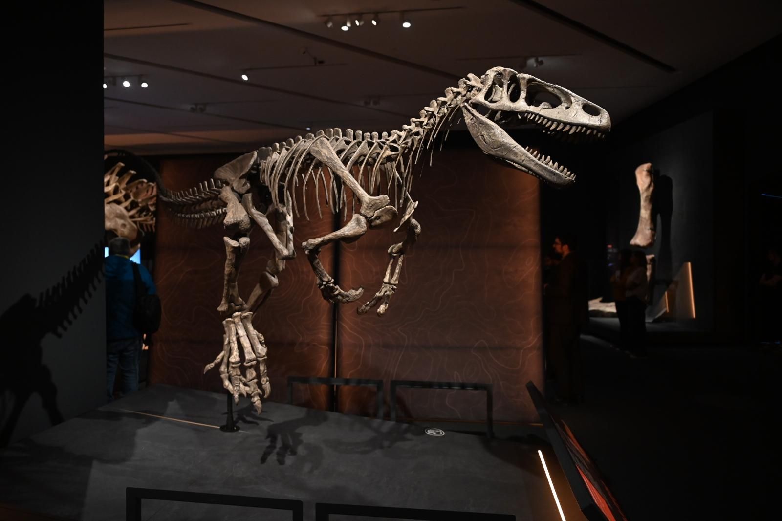 En imágenes | El dinosaurio más grande conocido conquista el Caixaforum de Zaragoza