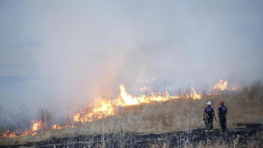 Asaja alerta del «grave riesgo» de incendios por la actual sequía