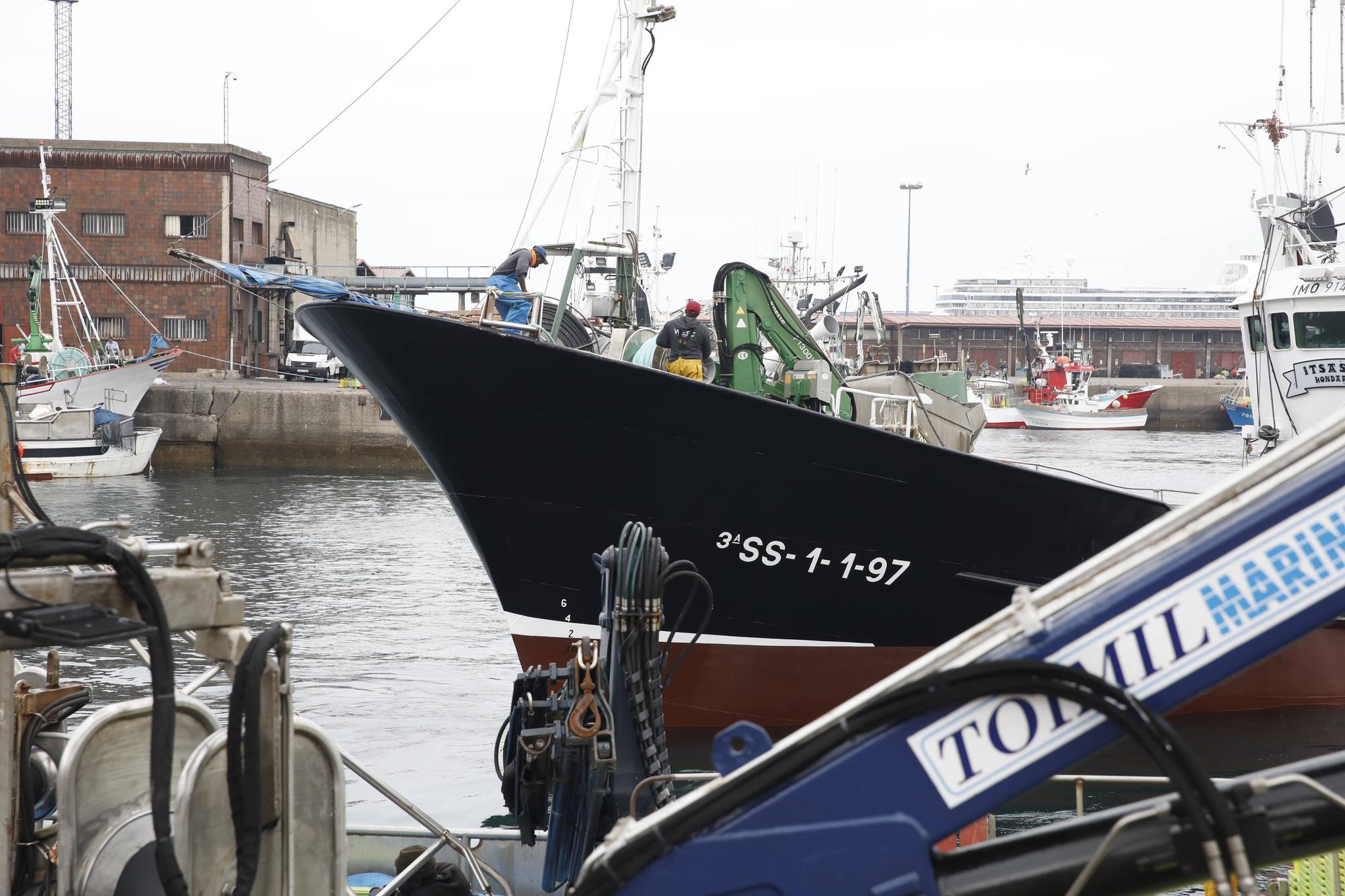 En imágenes: Gran descarga de bocarte en el puerto de Gijón