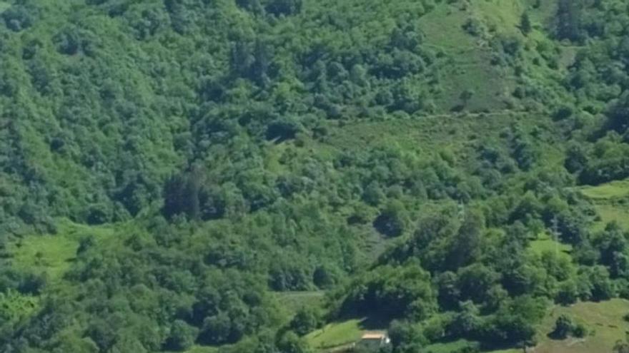 Los ecologistas alertan del riesgo de explotar la escombrera que se eleva sobre Moreda