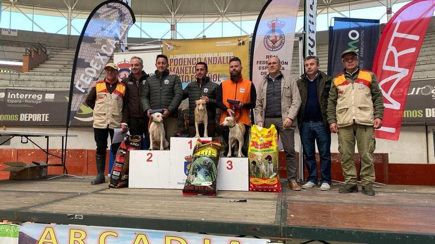 Joaquín Rajo, campeón de España de podenco andaluz con &#039;Rubia&#039; en Navalmoral de la Mata