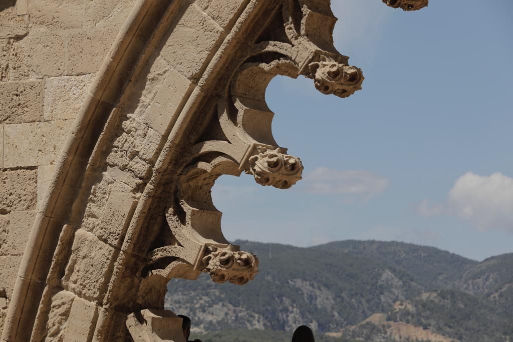 Vuelven las visitas a las terrazas de la Catedral de Mallorca