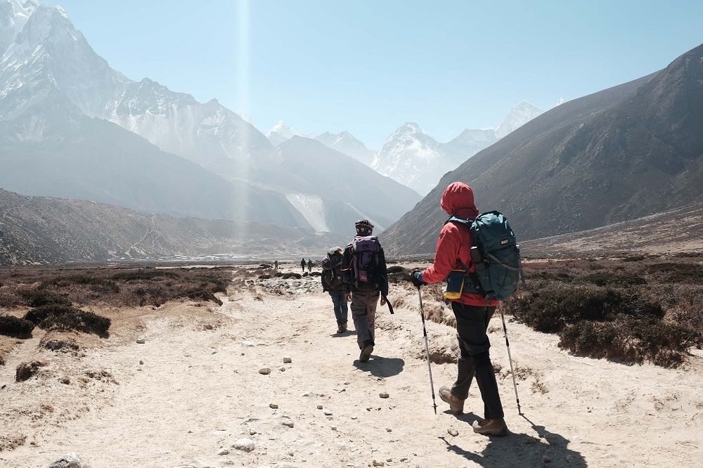 Bastones trekking mango corcho par