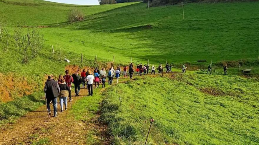 El paseo saludable de San Feliz. | R. A. S.