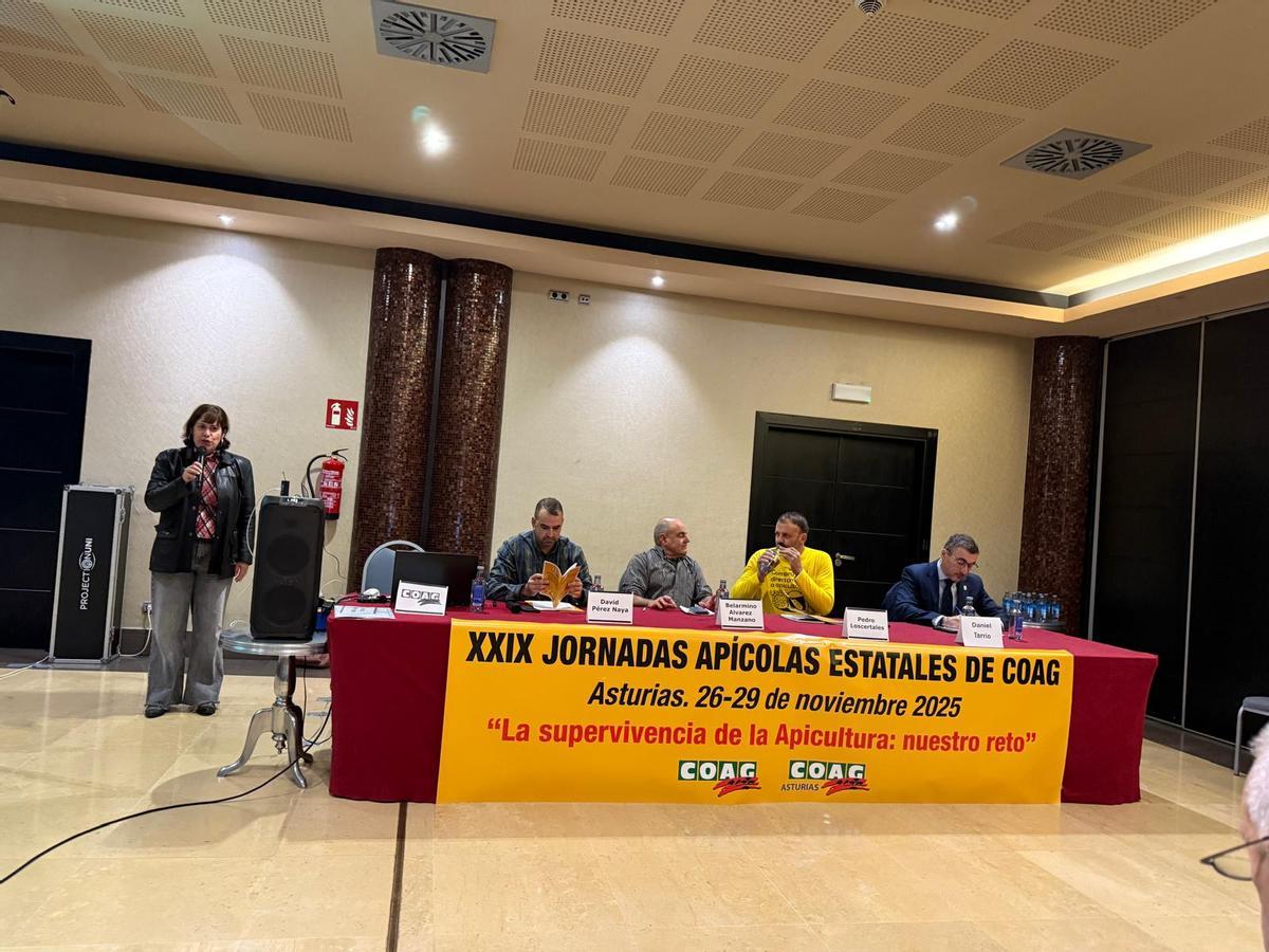 David Pérez Naya, Belarmino Álvarez, Pedro Loscertales y Daniel Tarrio, durante la inauguración de las jornadas de COAG en Oviedo.