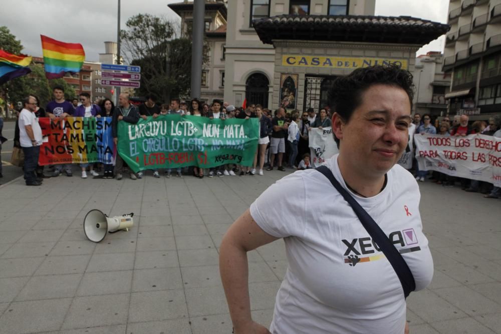 Asturias sale a la calle contra la homofobia