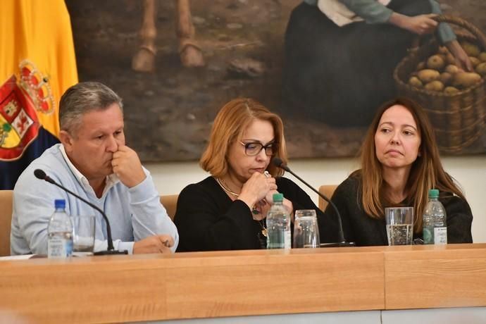 Pleno de Santa Lucía de Tirajana (28/11/19)