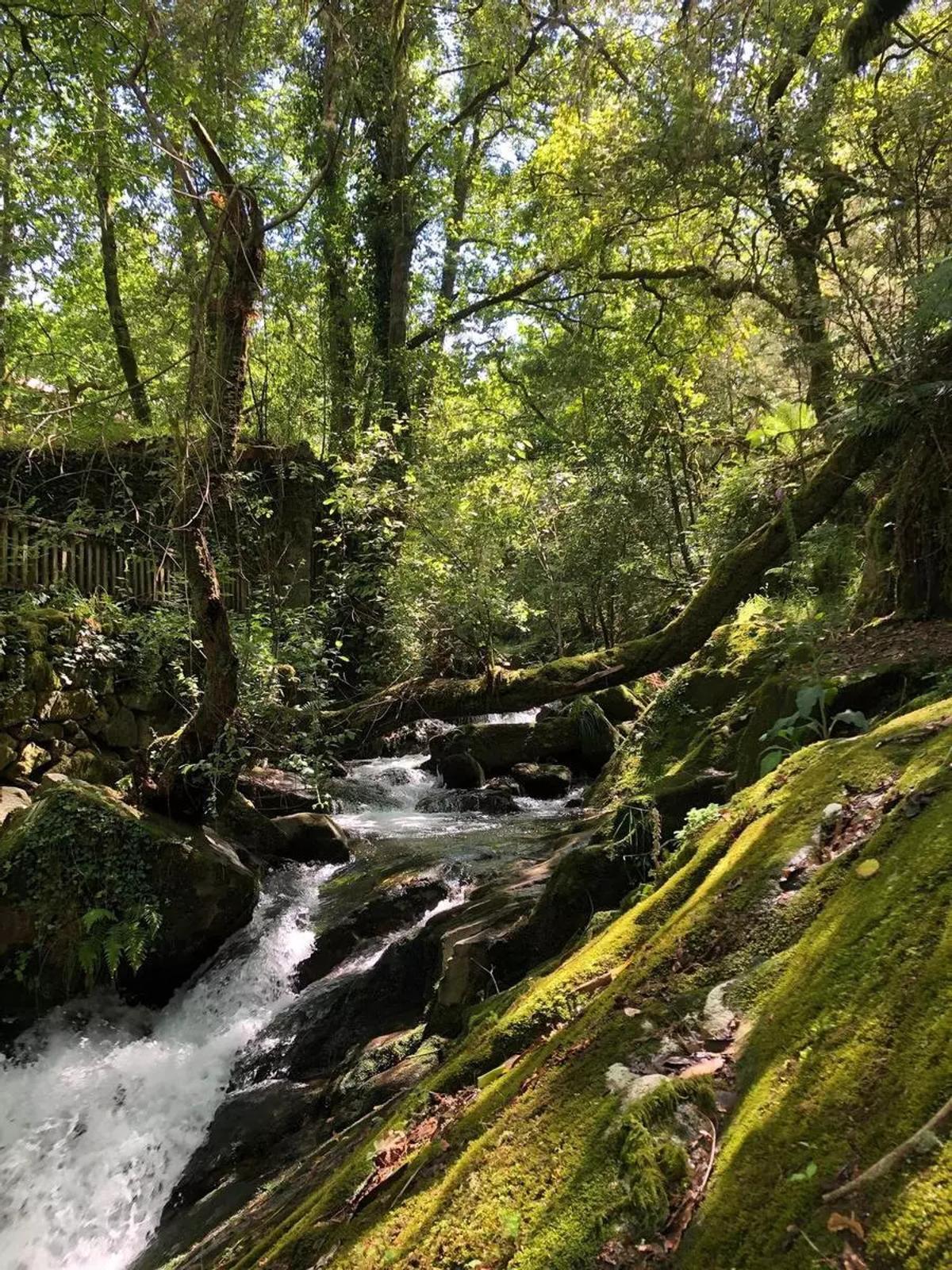 El Monasterio de Toxosoutos se encuentra rodeado por uno de los enclaves naturales más bonitos de Galicia
