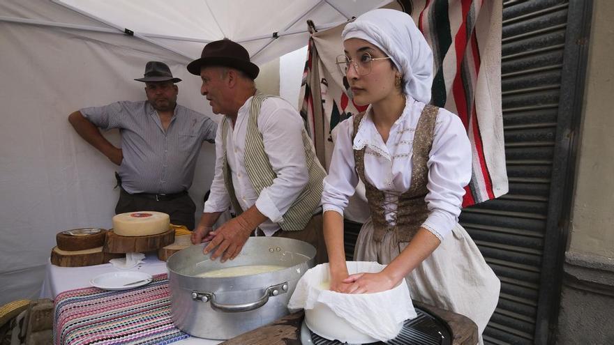 Elaboración de queso artesanal en la feria ‘El Sabor del Queso’ en Tamaraceite