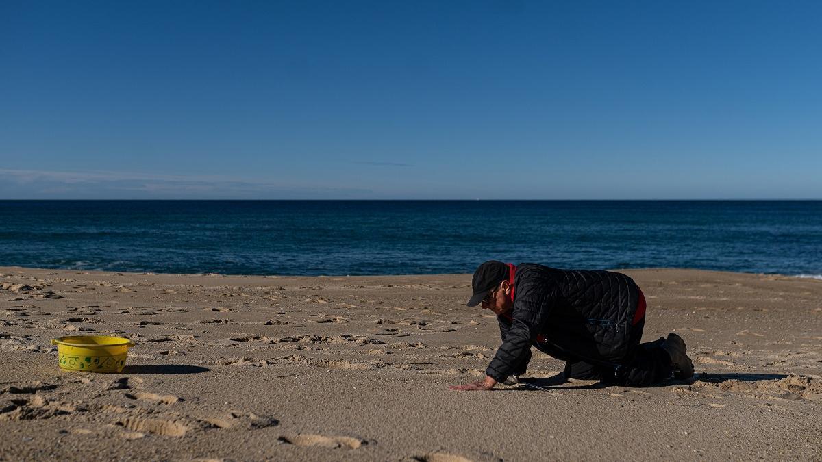 Un voluntario trabaja en la retirada de bolas de plástico en una playa gallega