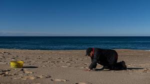 Un voluntario trabaja en la retirada de bolas de plástico en una playa gallega