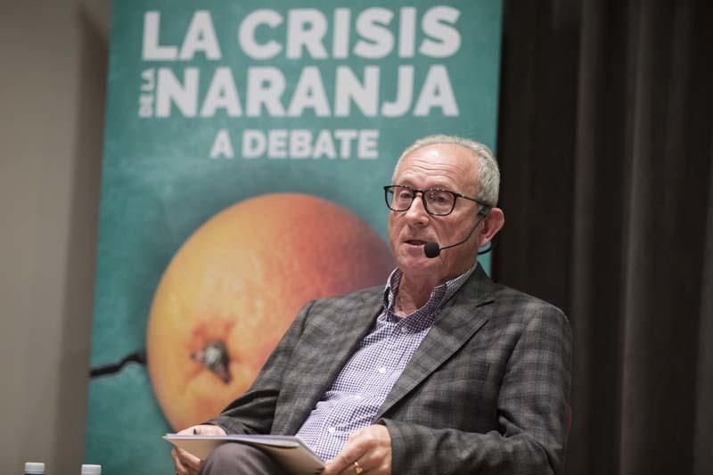 Debate: La crisis de la naranja