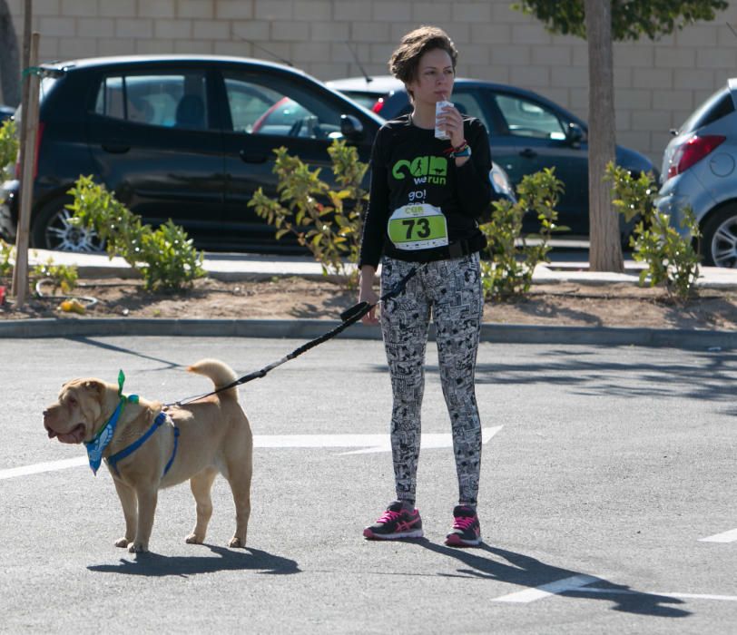 Can We Run: Gran carrera de perros para la concienciación animal