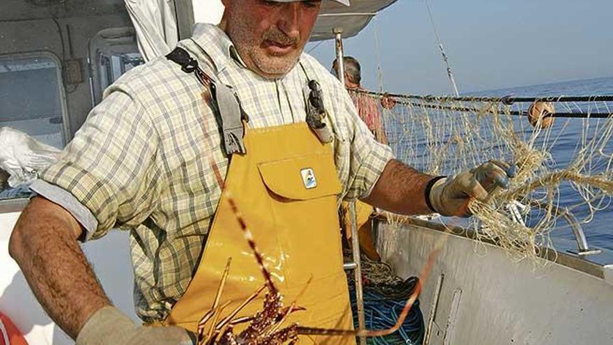 Un pescador desenreda un buen ejemplar del trasmallo.
