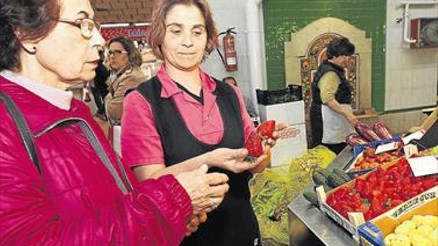 La fresa es la auténtica pasión de primavera