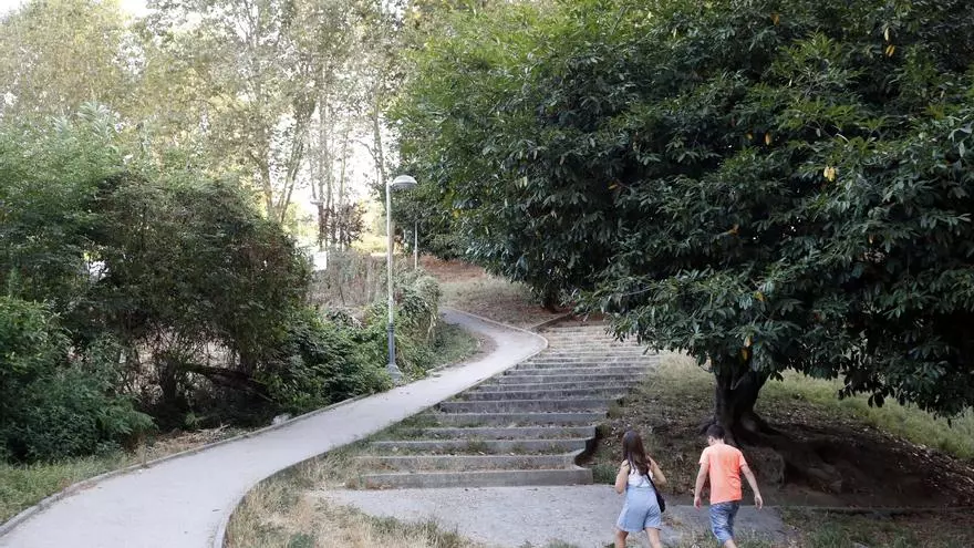 El autillo ameniza las veladas de los vecinos de Aragón y Travesía de Vigo con su peculiar canto