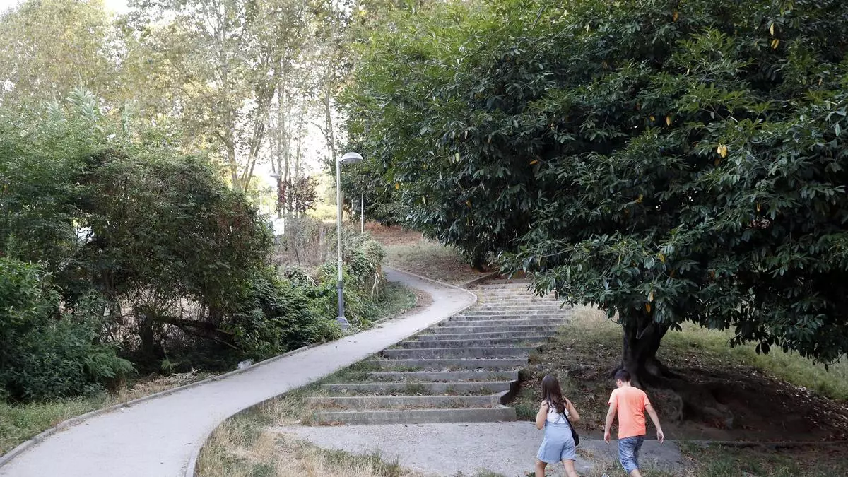 Identificado el autor del molesto pitido nocturno que altera el sueño de los vecinos de Aragón y Travesía de Vigo