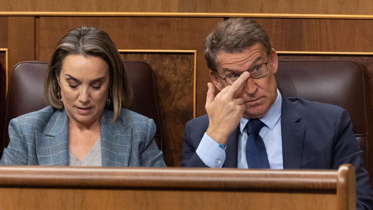 Cuca Gamarra y Alberto Núñez Feijóo, en el Congreso.