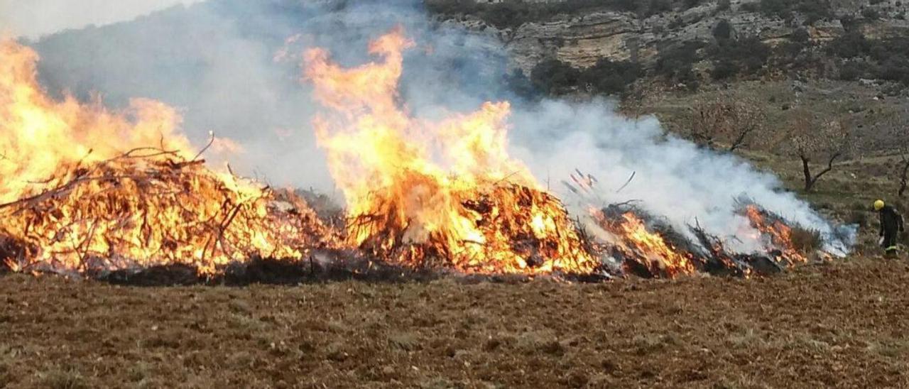 Crema de restes vegetals en un camp, foto d’arxiu. | DEP. AGRICULTURA