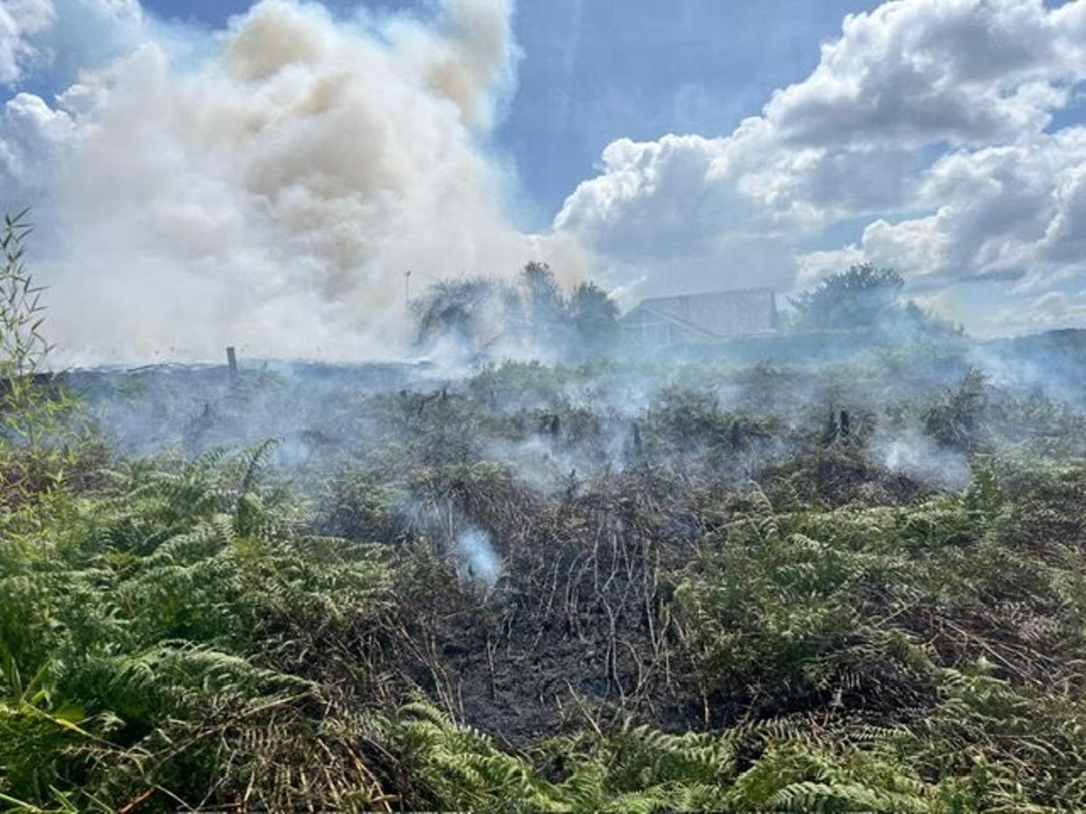 Incendio forestal en Talai, en Betanzos.
