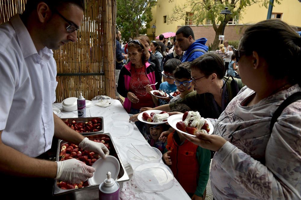 Feria de la fresa de Valsequillo, 2017