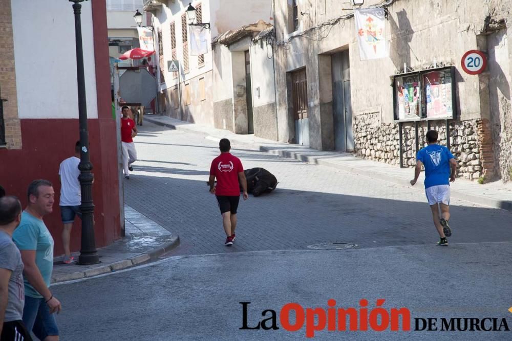 Cuarto encierro Fiestas de Moratalla