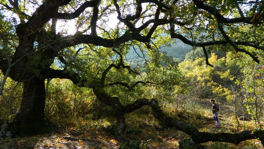 Uno de los paisajes que ofrece la Subbética cordobesa.