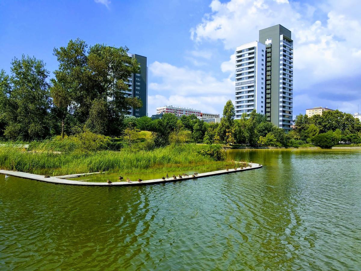 Parc de Diagonal Mar: nou refugi de biodiversitat Parc de Diagonal Mar: nou refugi de biodiversitat