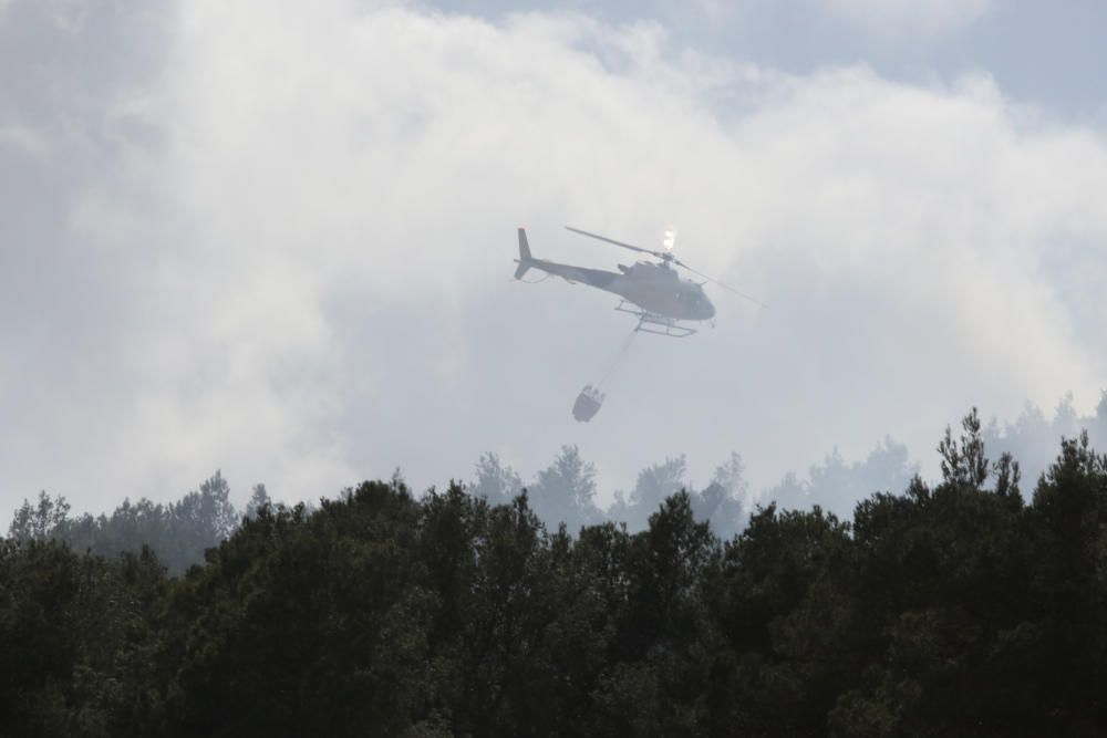 Incendio forestal en Sant Antoni