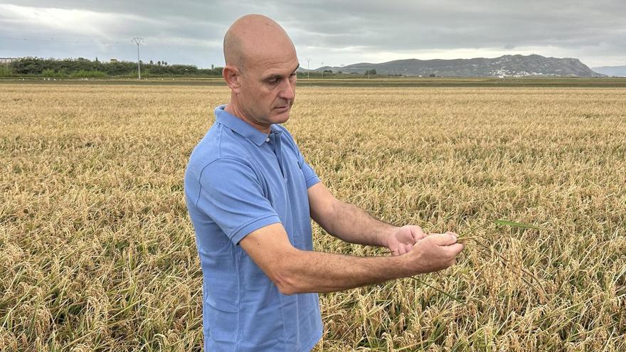 José Pascual Fortea, esta semana en sus campos