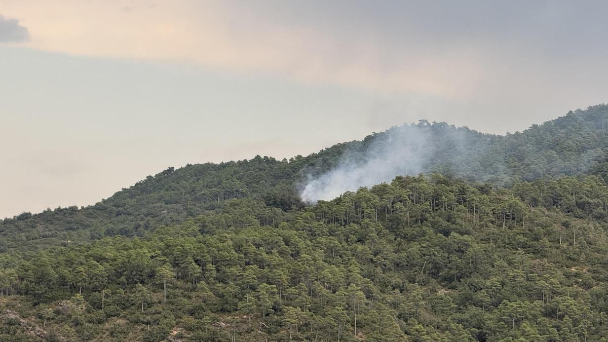 L'incendi de llamp a Oliana, a l'Alt Urgell