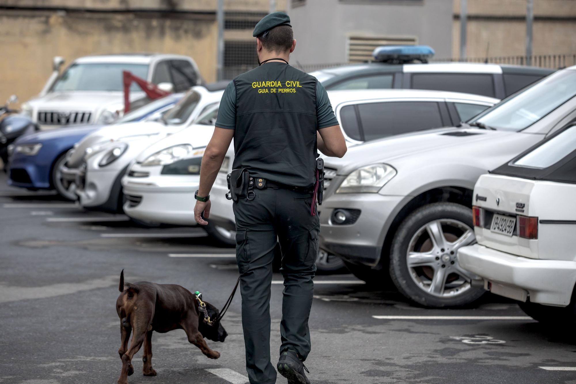 Unidad de Guías Caninos de la Guardia Civil