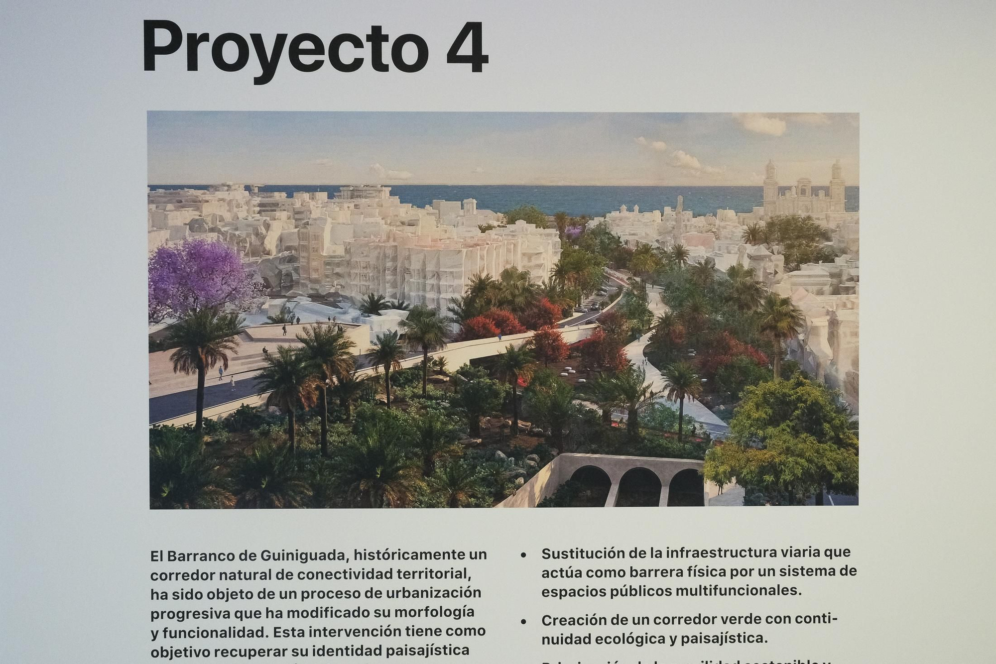 Presentación de anteproyectos finalistas del paseo Guiniguada