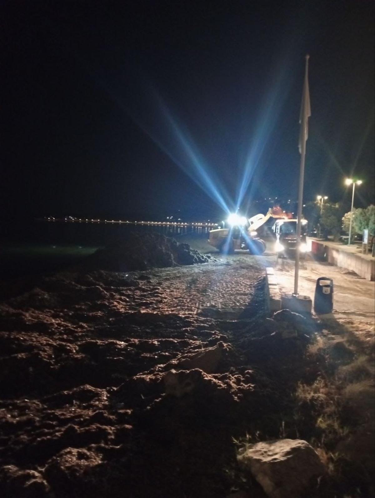 Los trabajos nocturnos de retirada de los restos de posidonia