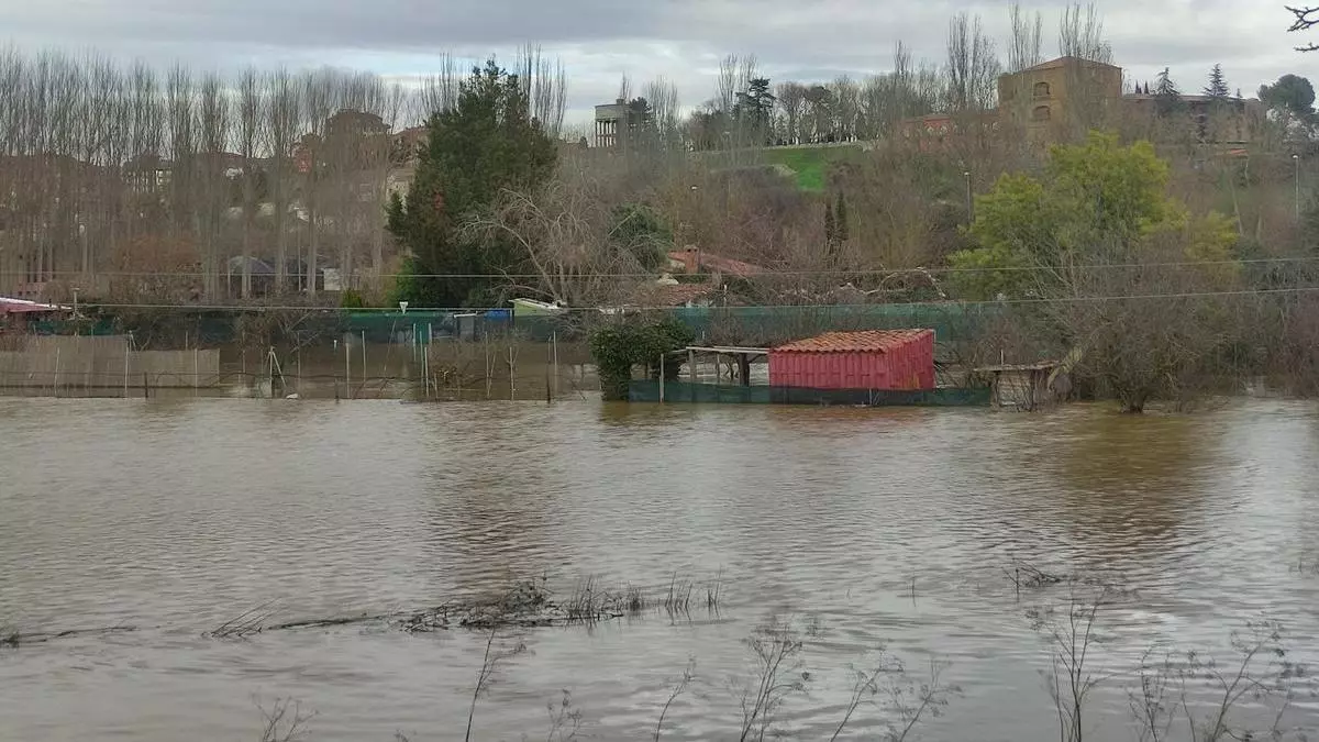 Los ríos Órbigo, Tera, el Castrón y el Esla siguen con niveles de alerta en la zona de Benavente